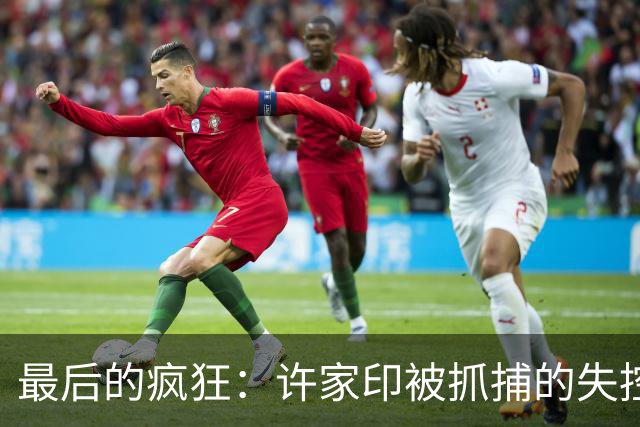 最后的疯狂：许家印被抓捕的失控三秒钟