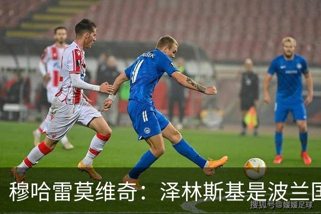 穆哈雷莫维奇：泽林斯基是波兰国家队最好的球员