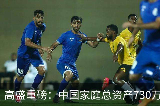 高盛重磅：中国家庭总资产730万亿，人均52万！钱正在搬家！